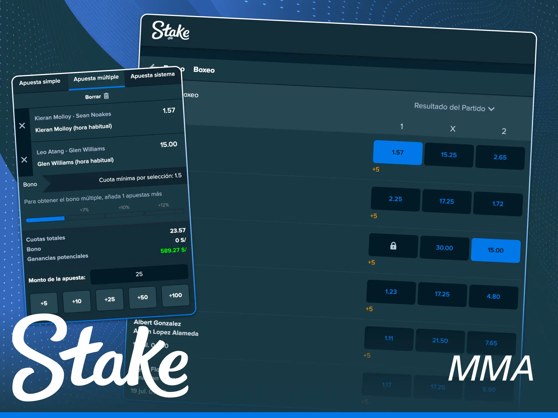 Apuesta en combates de boxeo y artes marciales mixtas utilizando Stake.