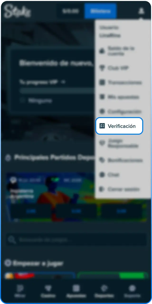 Entra en el menú de seguridad para iniciar la verificación en Stake.